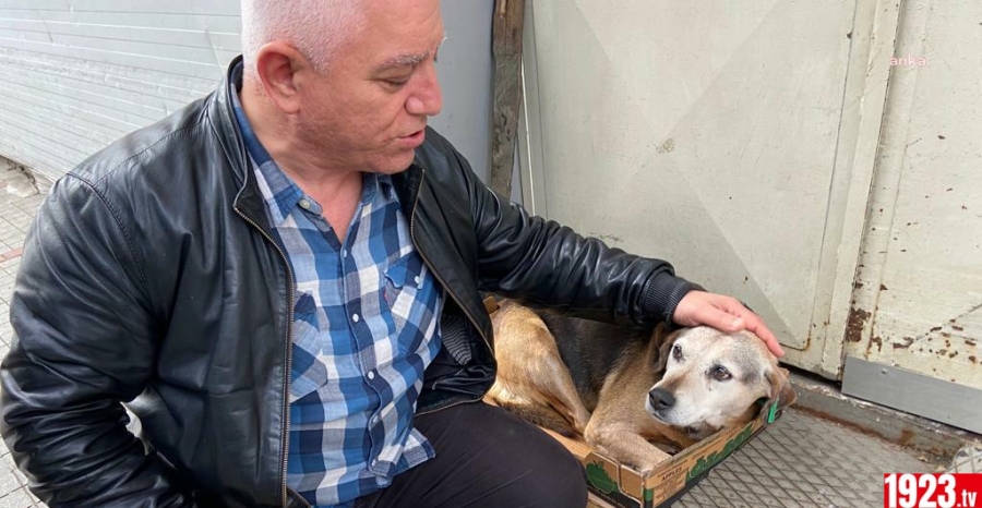 KÖPEK SALDIRI